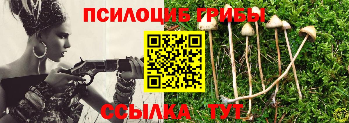 Волгоград  Галлюциногенные грибы MAGIC MUSHROOMS  Вход с VPN 
