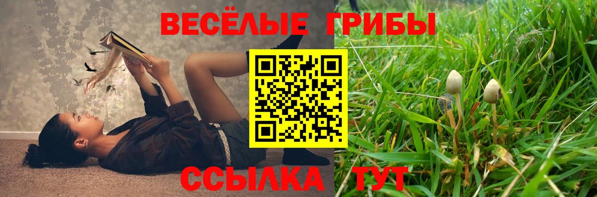 Галлюциногенные грибы ЛСД Волгоград